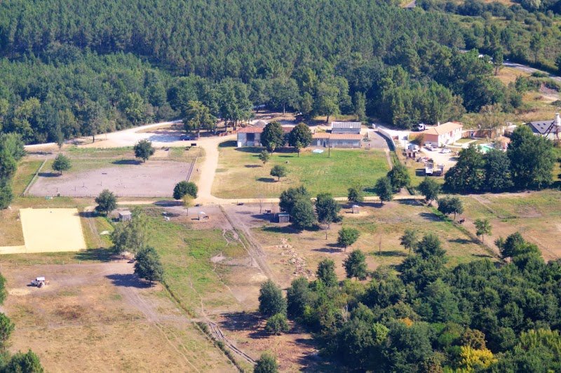 Centre equestre Elevage du bourgeais - photo 3