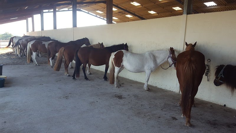 Ecurie Du Bost - photo 1