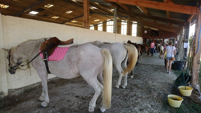 Ecurie Du Bost - photo 3