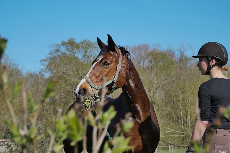 Ecurie du rosé - photo 3