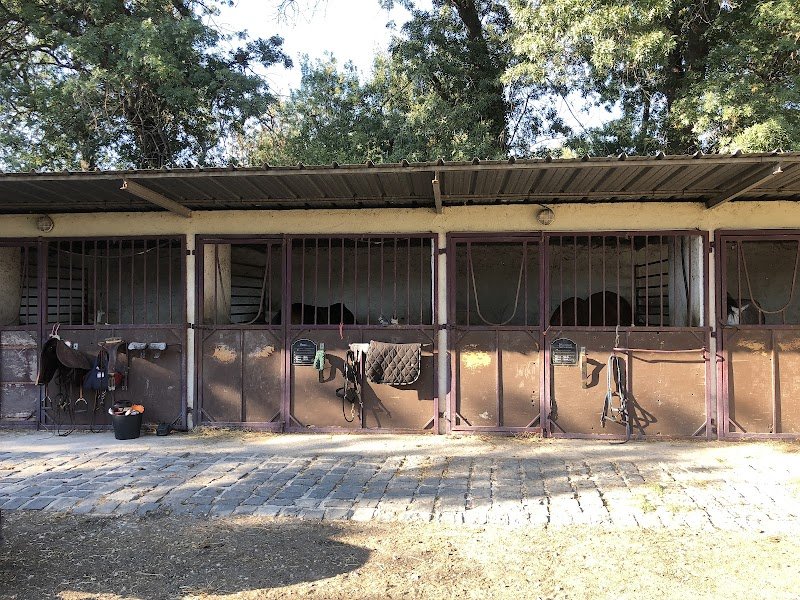 Écurie LC La Magdeleine - photo 3