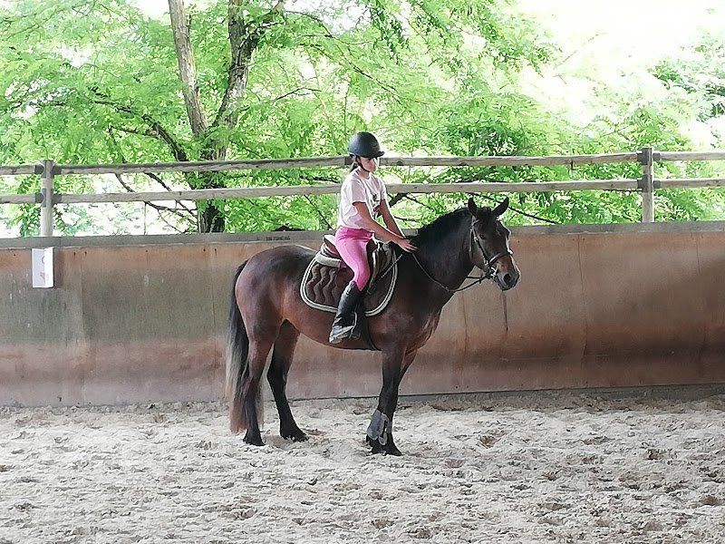 Ecurie de Mille Pieds.Christine Boucan - photo 3