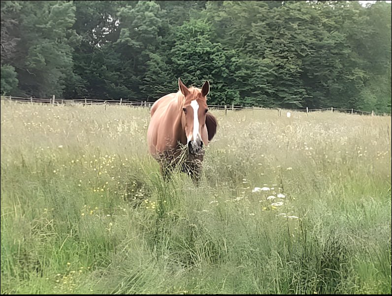 Les Écuries d'Orphée - photo 1
