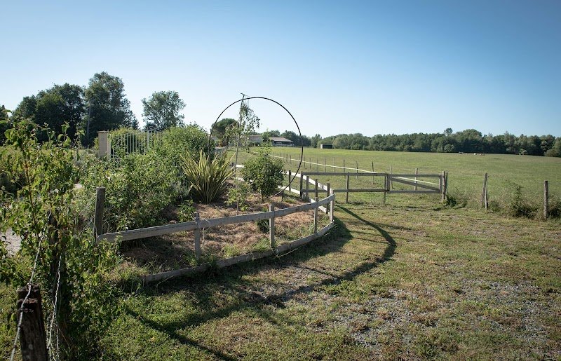 Pension pour chevaux Gironde, Bordeaux, pension équine, Domaine nature équine - photo 2