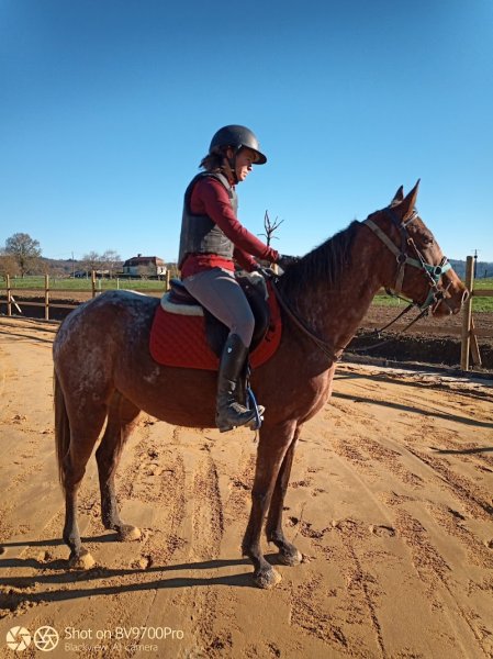 Écuries des Tours - photo 1