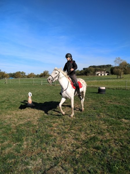 Écuries des Tours - photo 2