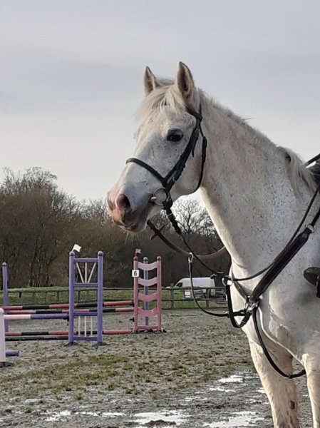 Les Cavaliers du Plaisir - photo 2