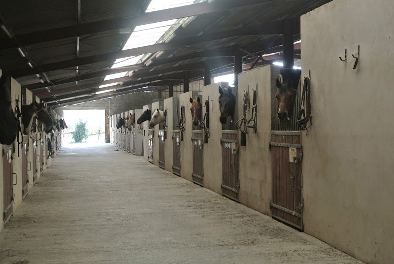 Centre Equestre Fief des Garennes - photo 2