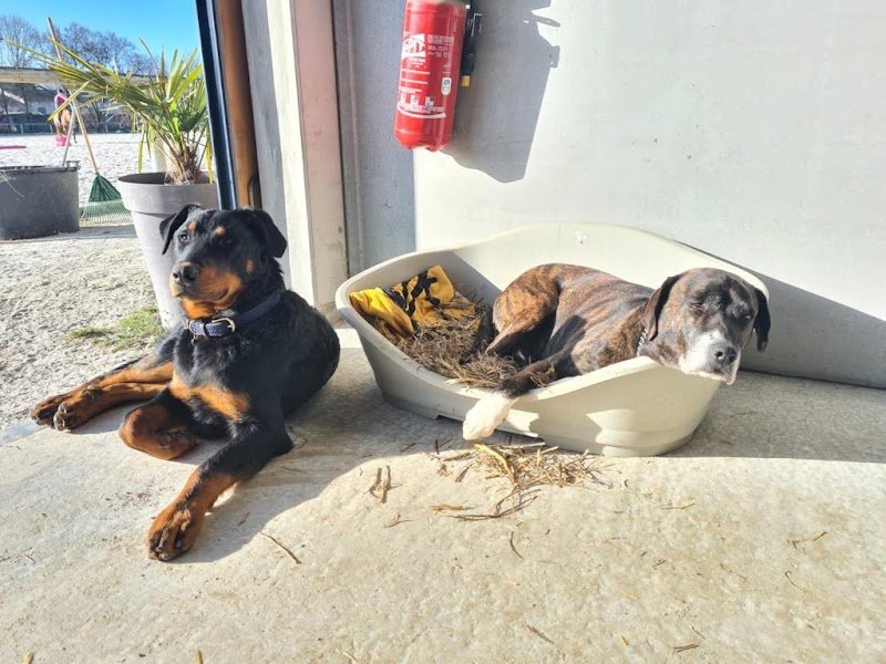 Haras de Beauvallon - photo 1