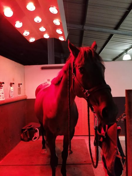 Haras de Beauvallon - photo 2