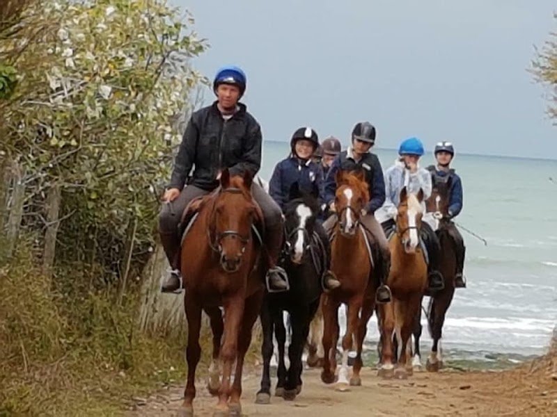 LA MAISON DU PONEY - photo 2