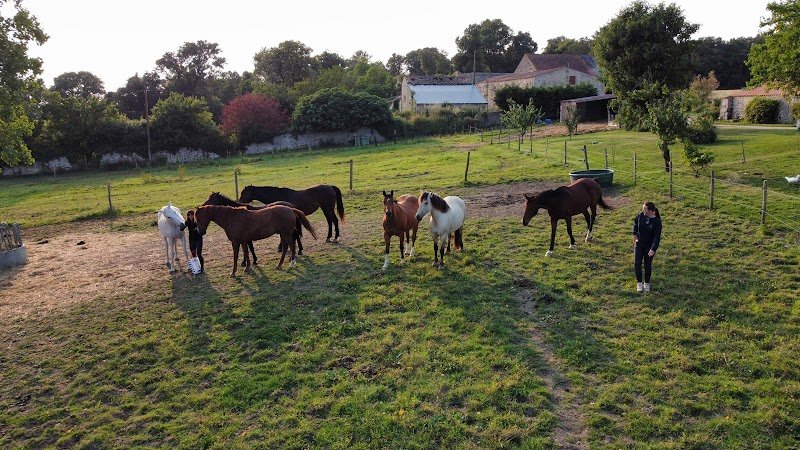 Écuries DLR - photo 2