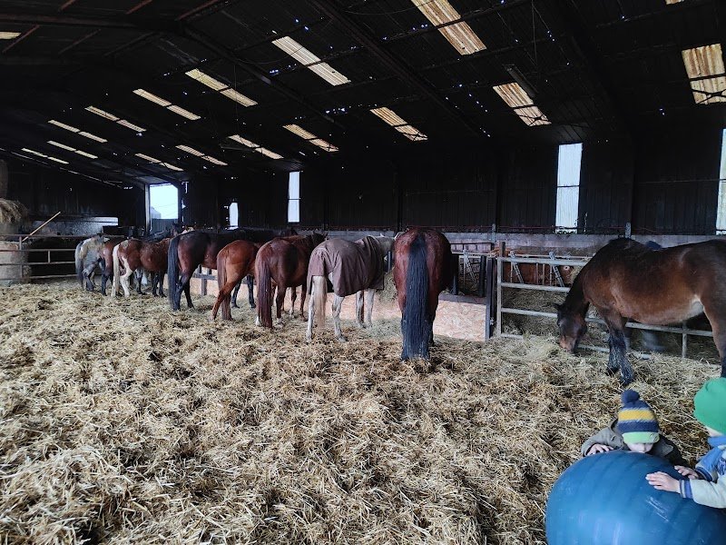 Écuries DLR - photo 3