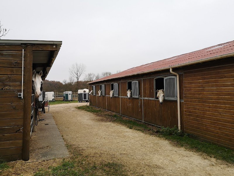 EARL Ecurie de l'Aubrée - photo 2