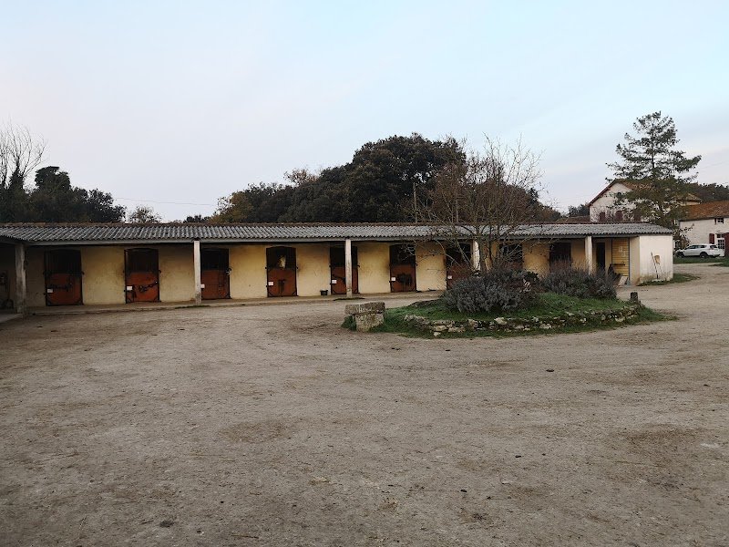 EARL Ecurie de l'Aubrée - photo 3