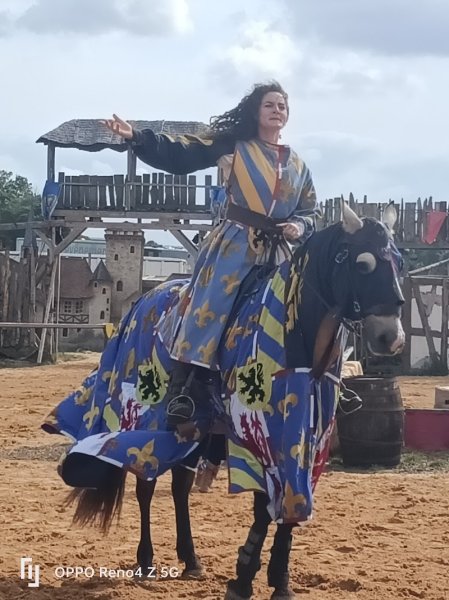 Écurie des légendes - photo 1