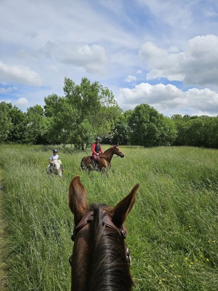 Haras de l'ilatte SCEA - photo 2