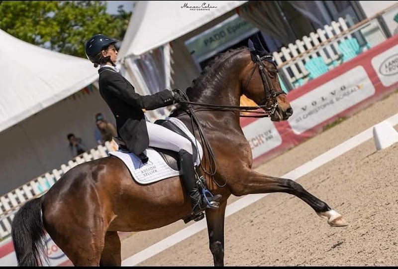 Écurie Julie Lavergne - Balsan - 2C2A - photo 1