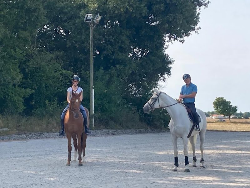 Écurie Julie Lavergne - Balsan - 2C2A - photo 2