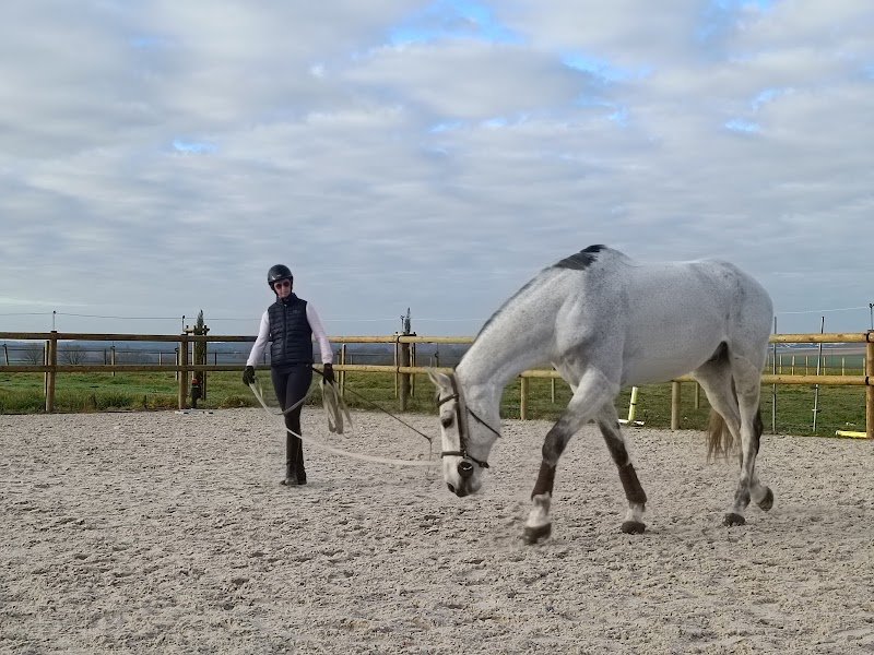 Écurie Julie Lavergne - Balsan - 2C2A - photo 3