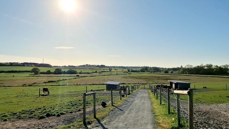 Écurie de la coubre - photo 1