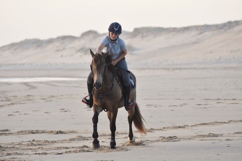 Écurie de la coubre - photo 2