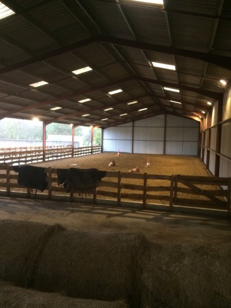 Complexe Equestre De La Carriere D Or - photo 2