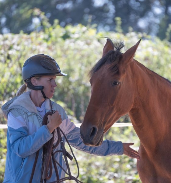 Ecuries du Totem - photo 2