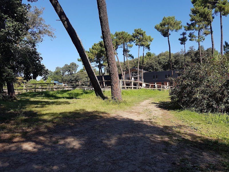 Centre équestre de l’estuaire - photo 2