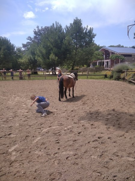 Cheval et Insertion - photo 1