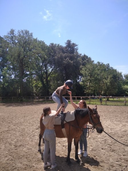 Cheval et Insertion - photo 2