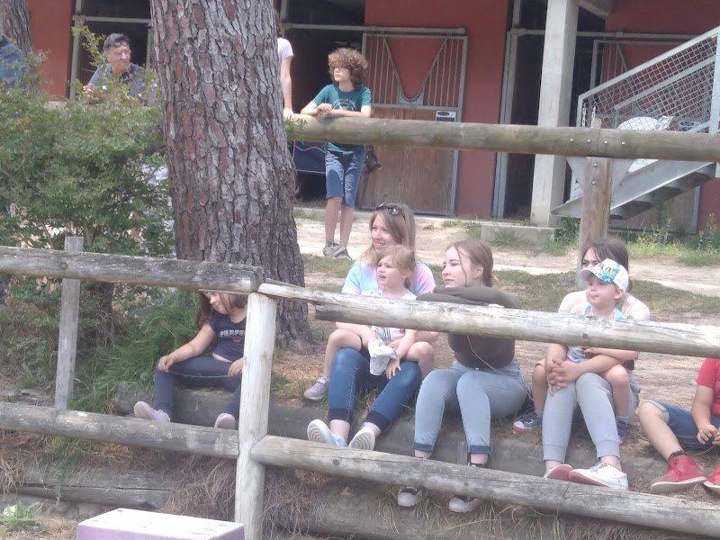 Cheval et Insertion - photo 3