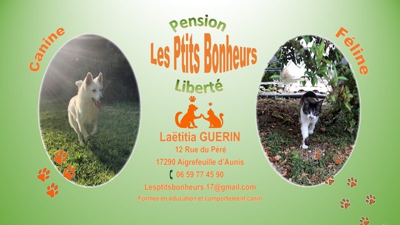 Les Ptits Bonheurs - Pension féline - photo 1
