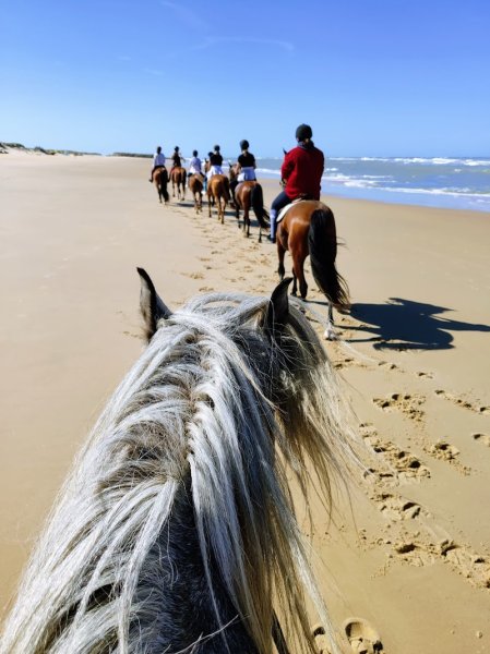 Centre équestre Le Cheval Autrement - photo 1