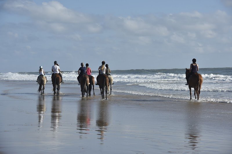 Centre équestre Le Cheval Autrement - photo 2