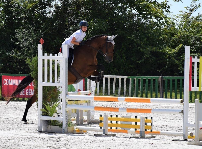 Centre équestre Le Cheval Autrement - photo 3