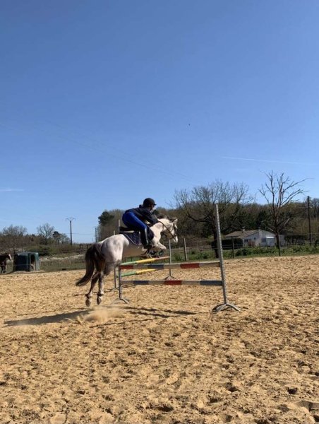 Écurie Des Masures - photo 3