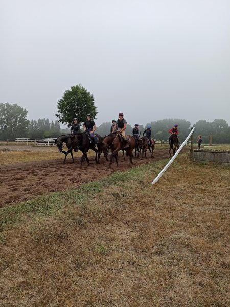 Écurie Nicolle - photo 1