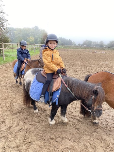 Equifamily -Poney Club - Laser Game à poney- - Stages-Pension - photo 3