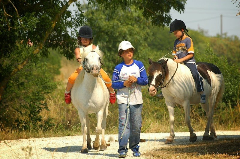 Centre équestre Les Embruns d'Oléron - photo 2