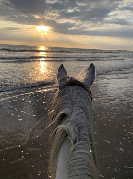 Centre Équestre Les Trémières