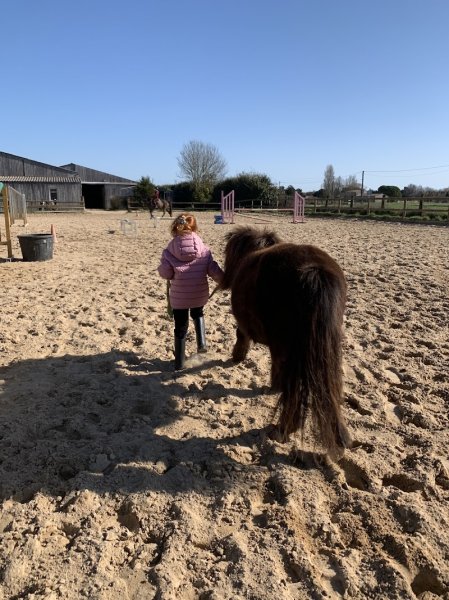Centre Équestre Les Trémières - photo 2