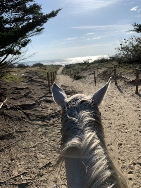 Centre Équestre Les Trémières - photo 3