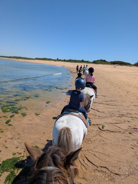 Les Cavaliers de l'Ileau - photo 1