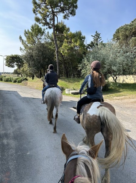 Les Cavaliers de l'Ileau - photo 3