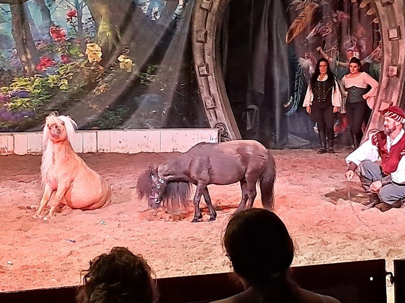 Les Cavaliers Du Temps Spectacle Équestre - photo 2