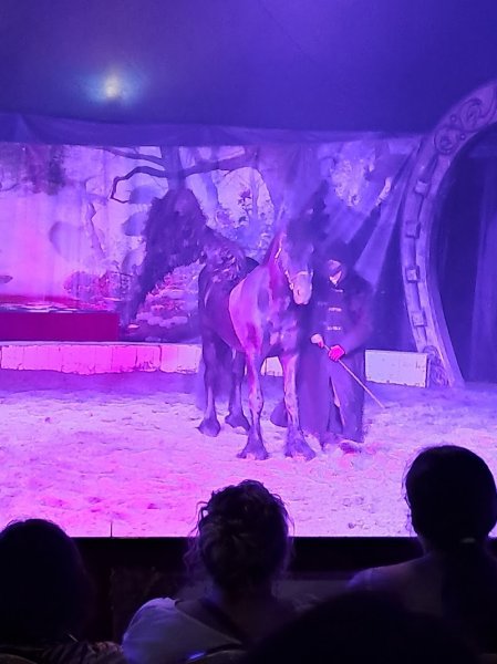 Les Cavaliers Du Temps Spectacle Équestre - photo 3