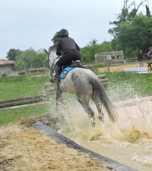 Centre Equestre De La Fregonniere - photo 2