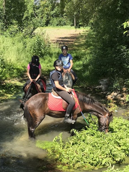 Centre Equestre Été - photo 1