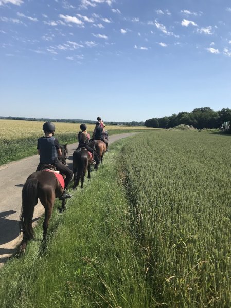 Centre Equestre Été - photo 2